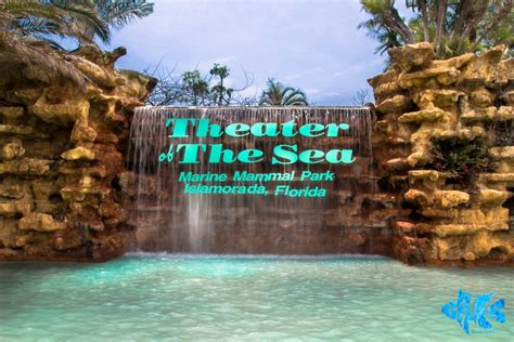 Theater of the sea - Ages 11+: $47.95Ages 3 – 10 : $29.95. Theater of the Sea offers dolphin, sea lion, and parrot shows, a bottomless boat ride, a lagoon-side beach, as well as a fish and reptile tour with tropical fish, sharks, sea turtles, stingrays, alligators, and crocodiles. General admission is included for guests participating in an animal interaction ... 